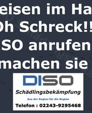 DISO Schädlingsbekämpfung Bild 3
