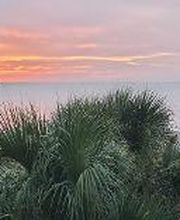 Blue Heron Dental Implants and Oral Surgery image 10