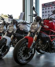 Triumph Bordeaux image 3