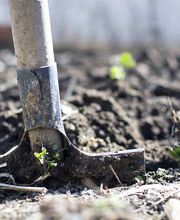 Augsburger Gartenbau GmbH Bild 6