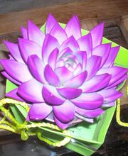 Le Temps D'aimer image 3