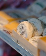 Vita Volta GmbH Bild 5