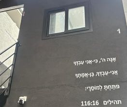 228617551-1-5kQEL8Zf8b1785486948700.jpeg