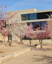 Käser Gartenbau AG Bild 7