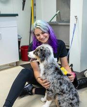 Animal Care Hospital of Morris Inc image 14