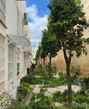 INDIGO JARDINES imagen 5