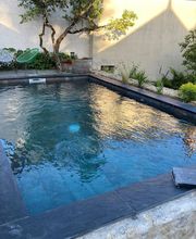 L'Arbre En Bois image 9