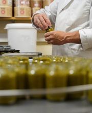 Moulin de Sévery Bild 11