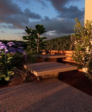 Albizia Paysage Lucas image 3