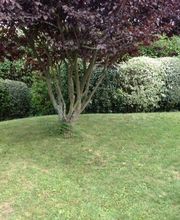 Jardins Et Maisons image 12