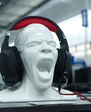 expert Wismar Bild 18