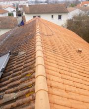 Rosenty Tony image 2