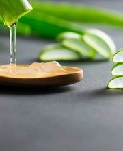 Pure revive by Riana (Mitrovic) Bild 7