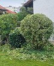 Hausmeisterservice-Cenkaj Bild 8