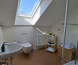 Ferienhof Lidl Bild 7