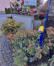 Bruno Winet, Privatgärtner Bild 3