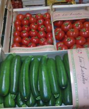 Rabes Primeurs SARL image 4