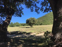 Centre Colline et Cyprés