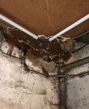 Ins Hygiène Bretagne image 5