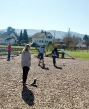 Happy-Dog-School Bild 4