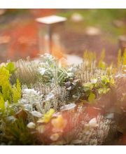 Genossenschaft Kölner Friedhofsgärtner eG Bild 4