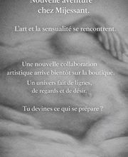 Mijessant.com image 5