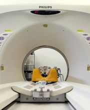 Clinique Vétérinaire De La Côte Fleurie image 8