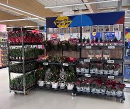 Lidl Bild 9