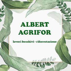 Albert Agrifor logo