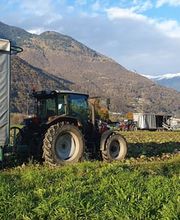 Azienda Agricola Mozzini Roberto Bild 11
