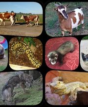 Duval Nathalie image 4