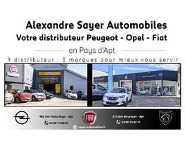 Alexandre Sayer Automobiles image 3