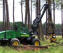 ALLIANCE Forêts Bois image 1