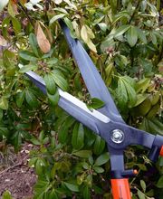 S. Vaney Paysagiste Sàrl Bild 2