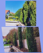 Singer Dienstleistungen Bild 1