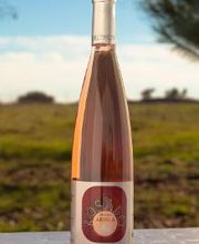 Cooperativa del Campo San Isidro imagen 12