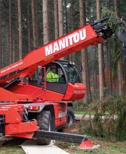 Lechner Baumfällung Bild 1