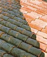 Wiss Christophe image 14