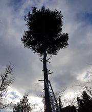 Heiko Jester - Garten- und Landschaftsbau GbR Bild 7