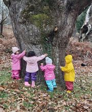 Casa Niño O Bicarelo imagen 10