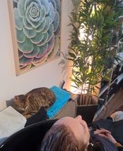 BABA'S HAAR-OASE Bild 4