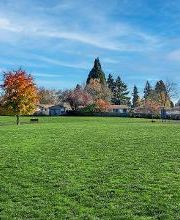 LGI Homes - Walnut Grove image 3