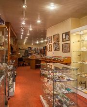 Espace Collections image 18