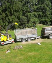 Au coeur de l'arbre image 4