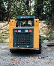 Top Tier Trees image 3