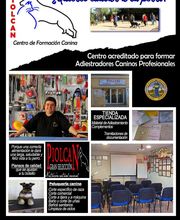 Piolcan Adiestramiento Canino y centro de formación imagen 5