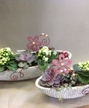 Bernaflor Blumengeschäft - 3185 Schmitten Bild 9