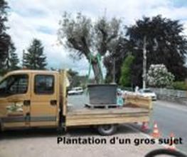 Velay Espaces Verts image 6