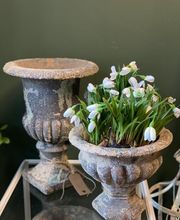 Dekoplus Elgg Bild 8