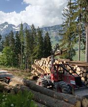 Forstgemeinschaft Grabus Bild 2